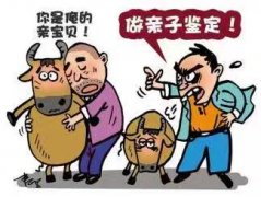 做亲子鉴定怎么做