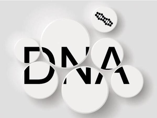 做DNA亲子判定一般需求多少钱,要准备哪些资料