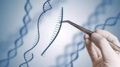 韶关市DNA亲子鉴定需要提供什么东西