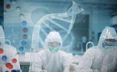 石家庄dna鉴定亲子费用需要多少钱？