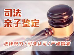 几个月能够做dna亲子鉴定？
