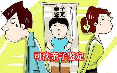亲子鉴定