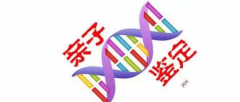 胎儿亲子鉴定需要提供什么样本？