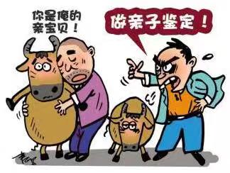 济宁市dna亲子鉴定需要多少钱?