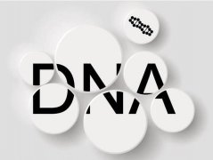 东营市dna亲子鉴定费用需要多少钱？