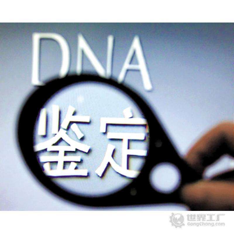 枣庄市dna亲子鉴定费用需要多少钱?