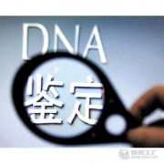 扬州市dna亲子鉴定多少钱？