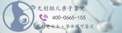 深圳能做亲子鉴定的机构在哪里