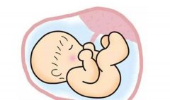 邵阳孕期可以亲子鉴定吗