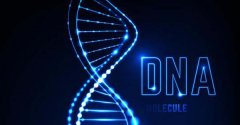 阳江小孩子可以跟爷爷做DNA吗