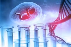 胎儿亲子鉴定所