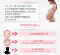  怀孕多久可以查dna亲子鉴定