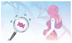 怀孕能做亲子鉴定哪里有做的