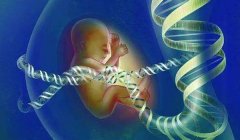 刚怀孕一个月株洲能不能做亲