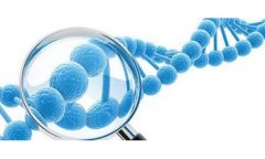 外地的DNA鉴定靠谱吗