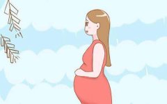 龙岩的无创胎儿亲子鉴定要如何办理