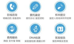 亲子鉴定方法有几种哪种准确