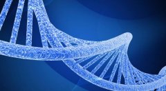 什么是亲子DNA鉴定
