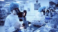 亲子鉴定都是查什么