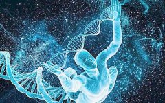 胎儿DNA亲子鉴定多少钱