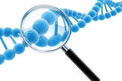 DNA亲子鉴定实验过程