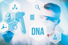 亲子鉴定结果多久可以出来