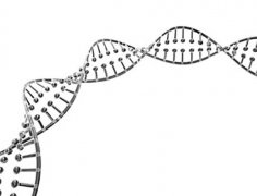 无创DNA亲子鉴定怎么做