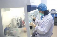 刚生下来可以做亲子鉴定吗