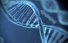 亲子鉴定需要一些什么