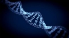 判断孩子是不是亲生最好的办法