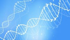 偷偷做亲子鉴定价格多少