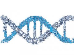 超生的孩子上户口是不是做了亲子鉴定就能上