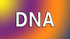 个人亲子鉴定会不会很复杂