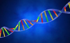 哪些孕妈妈适合做无创胎儿亲子鉴定