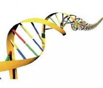 做隐私和司法dna亲子鉴定的特点