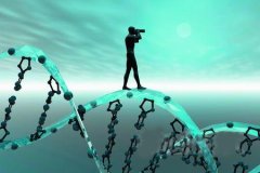 司法DNA检测怎么做