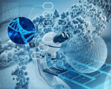 上户口DNA检测应用范围