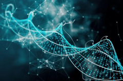 个人亲子鉴定后可以拿到报告书吗