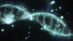 做无创胎儿鉴定亲子需要采集什么样本