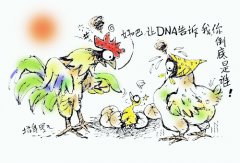 两种亲子鉴定技术
