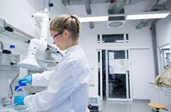 无创胎儿亲子鉴定办理流程