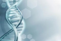 DNA亲子鉴定的结果真的百分百准确吗