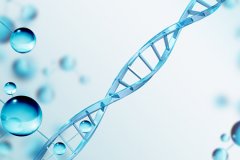 DNA亲子鉴定采集烟头作为样本的原理