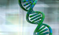 孕妇该怎么去做亲子鉴定呢