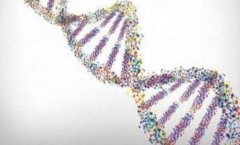 办理无创胎儿亲子鉴定的注意事项