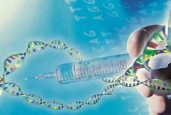 ​​DNA亲子鉴定机构的鉴定类型