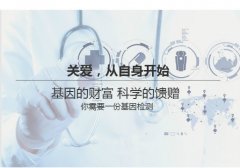 个人、司法以及无创胎儿亲子