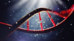 亲子鉴定收费标准是怎样的