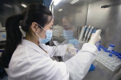 个人亲子鉴定如何对样本负责