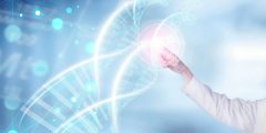 DNA鉴定的原理全过程